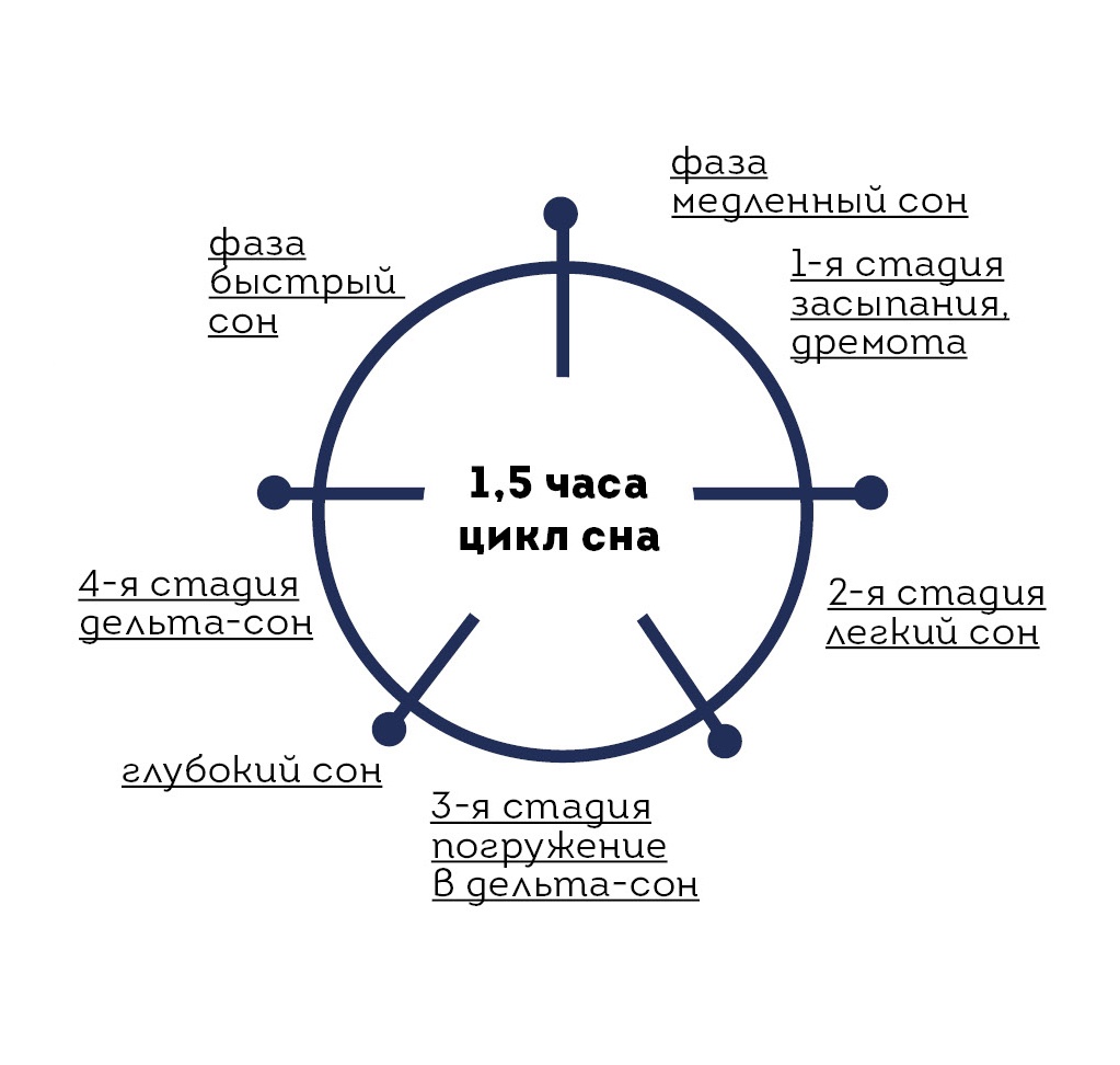 Фазы и циклы сна. Фаза глубокого сна. Сколько фаз глубокого сна должно быть.